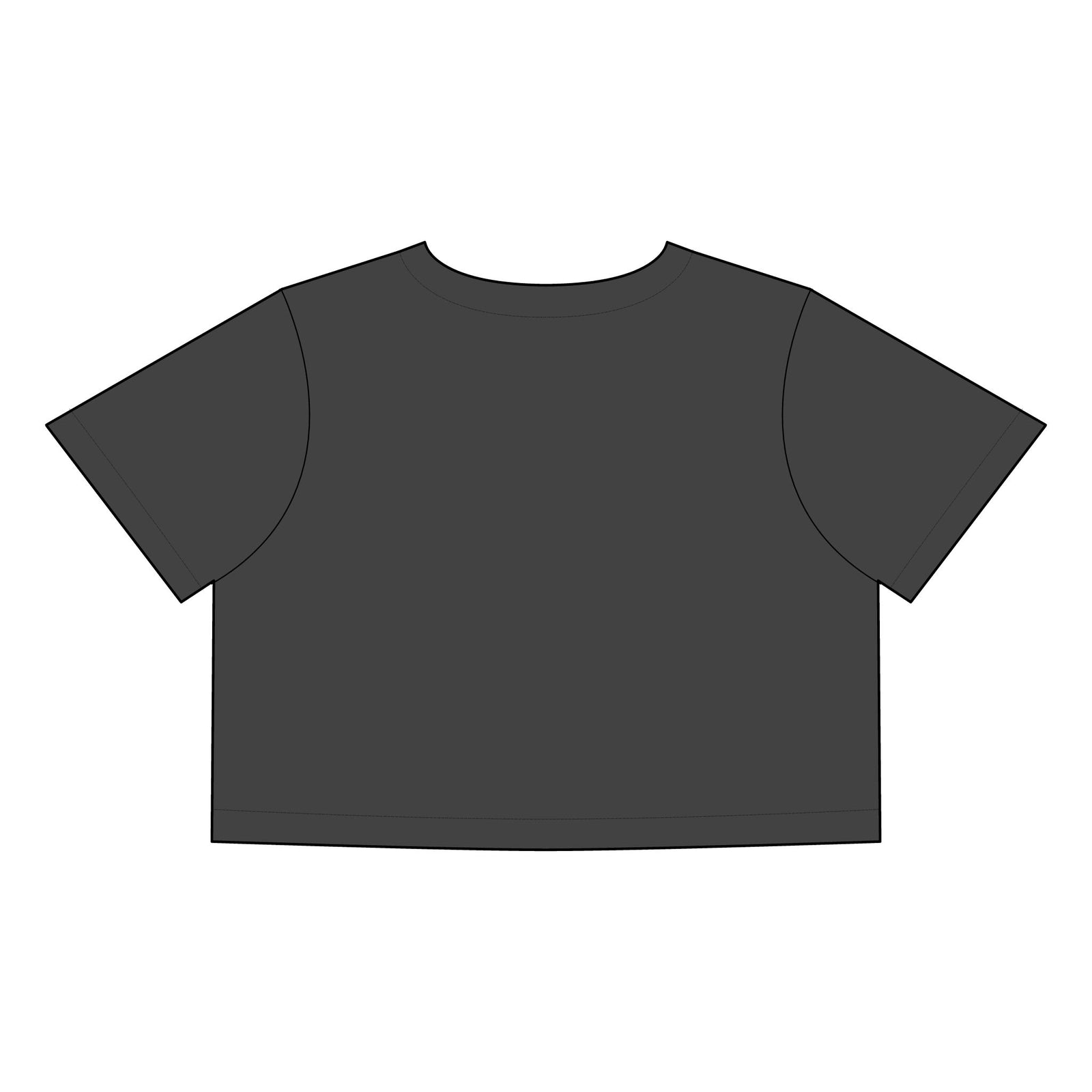 Stoopid - Stone Wash Heavy Crop Tee