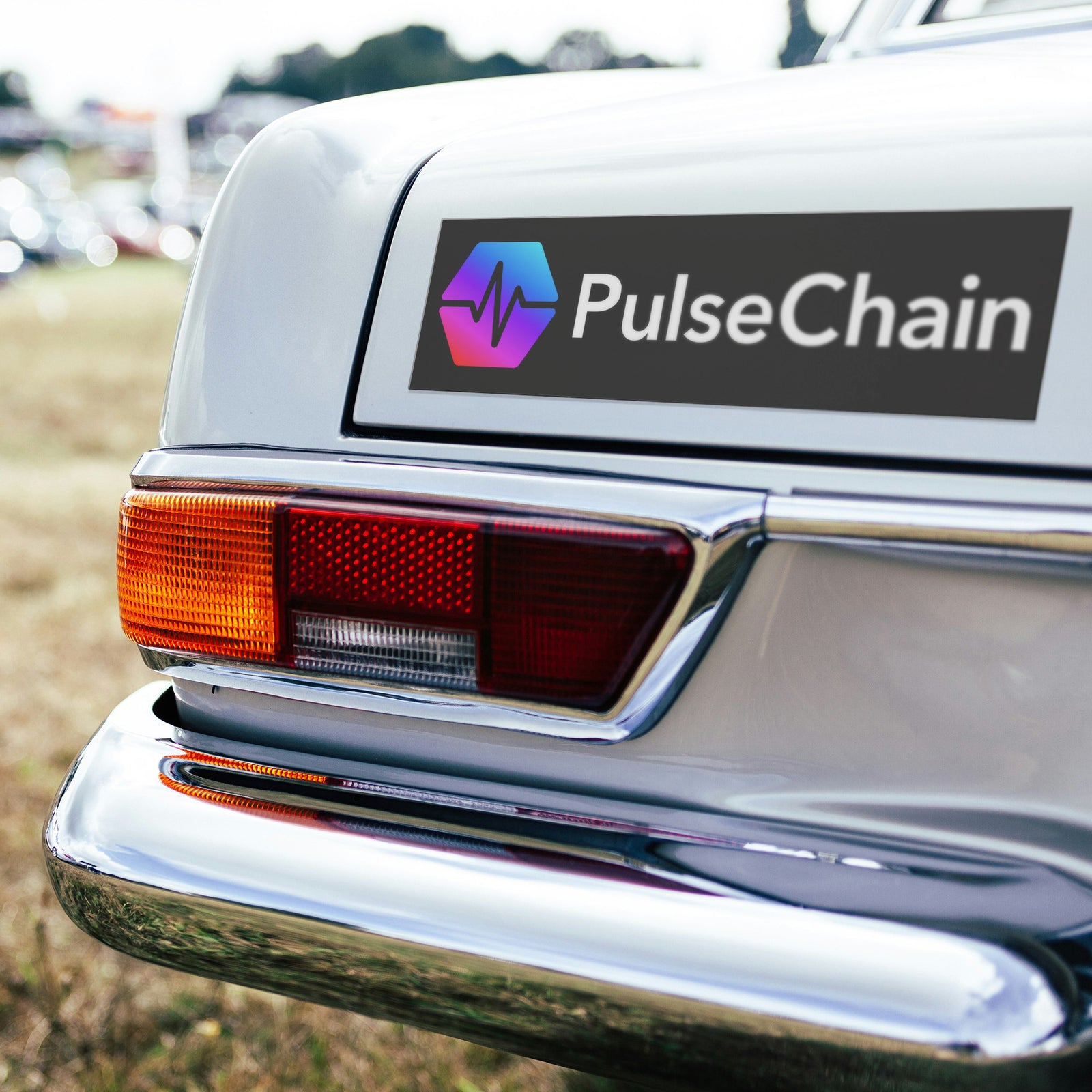 PulseChain - Bumper Magnet - The Pulsican Store