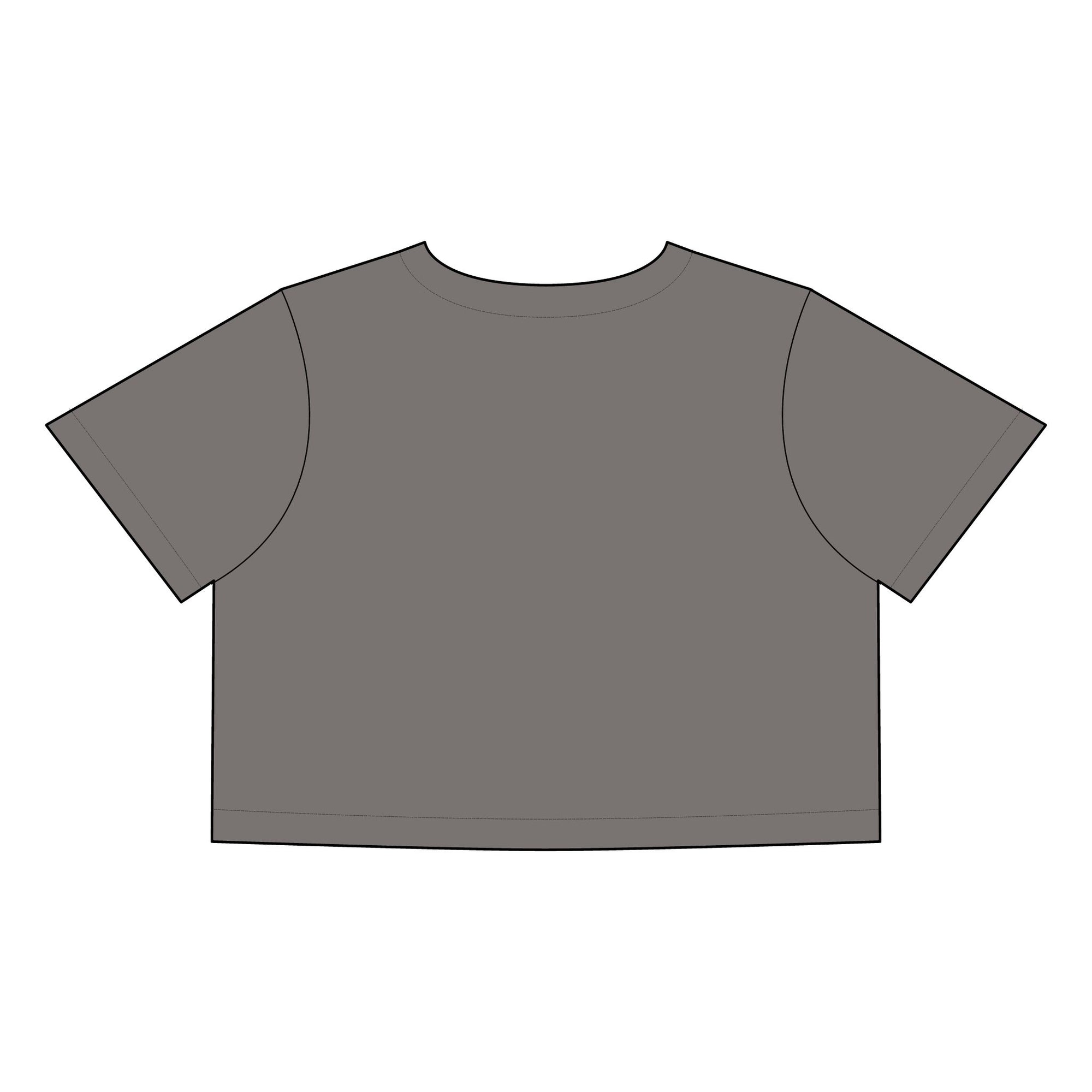 Stoopid - Stone Wash Heavy Crop Tee