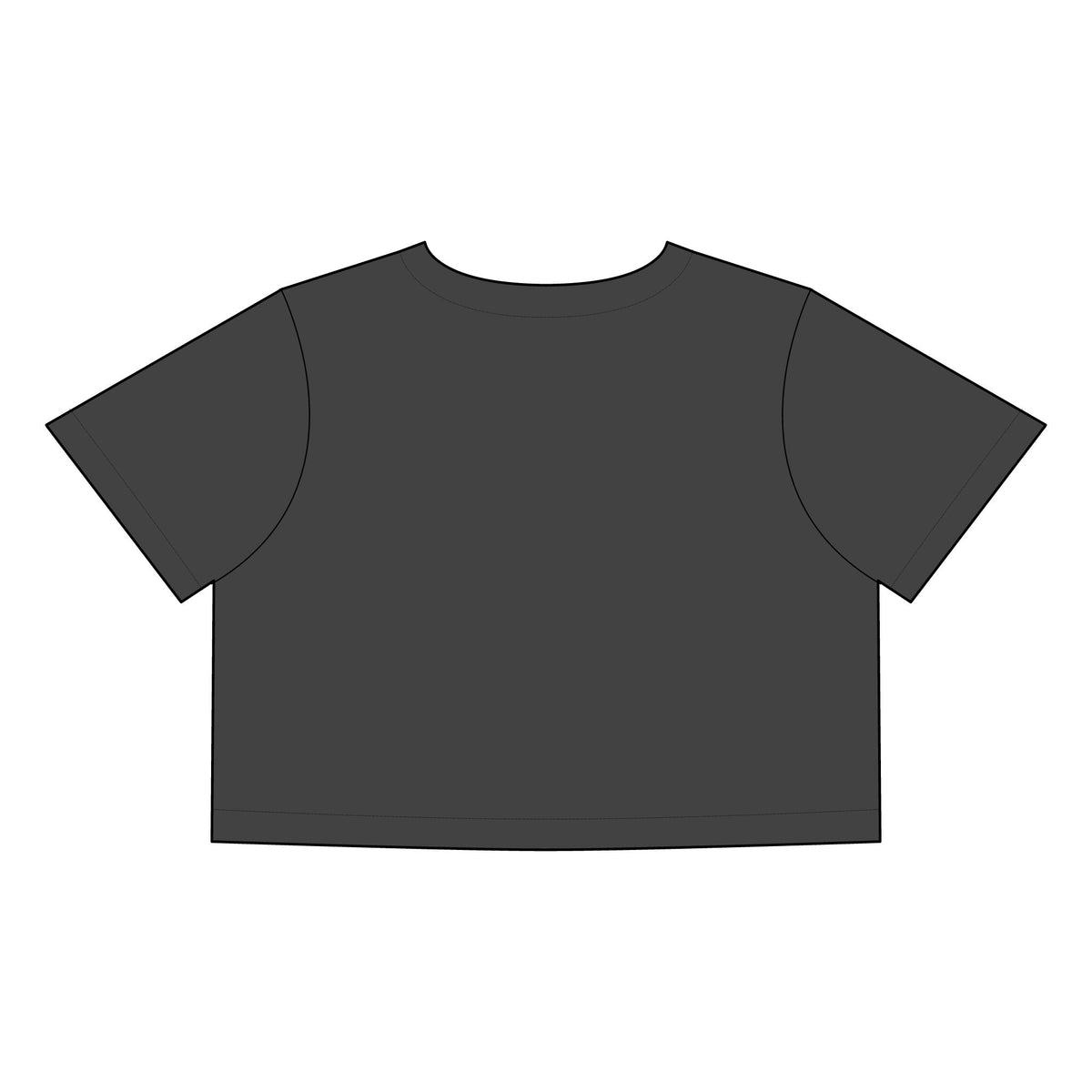 Stoopid - Stone Wash Heavy Crop Tee