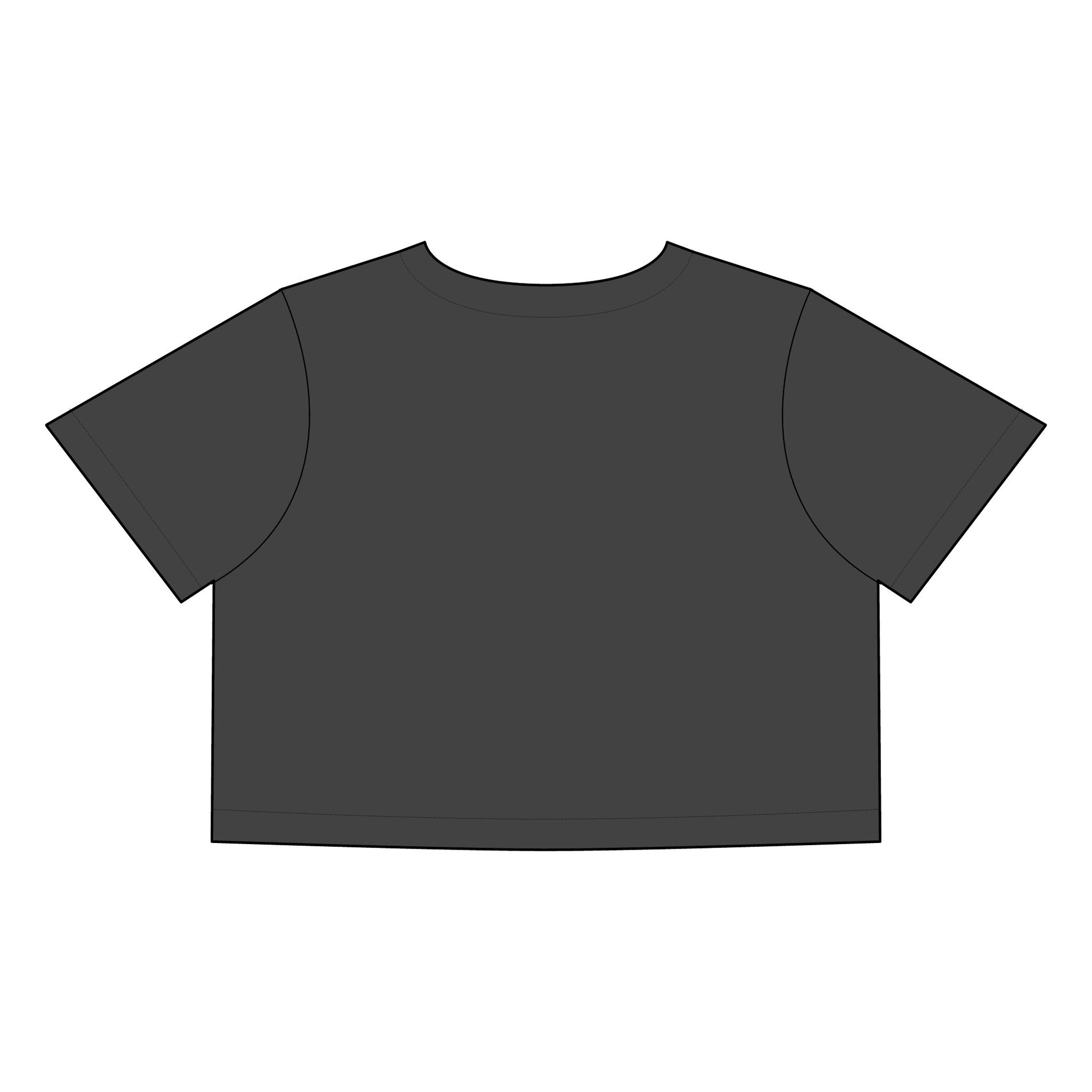 Stoopid - Stone Wash Heavy Crop Tee
