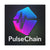 PulseChain - Premium Wall Canvas