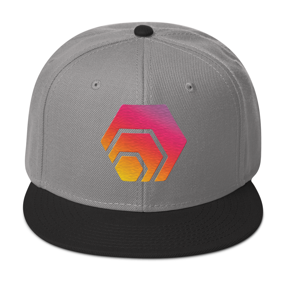 HEX Logo - Embroidered Snapback - The Pulsican Store