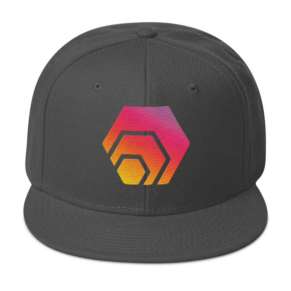 HEX Logo - Embroidered Snapback - The Pulsican Store