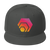 HEX Logo - Embroidered Snapback