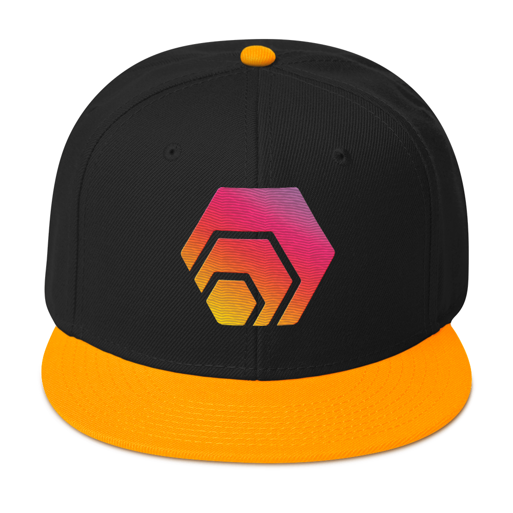 HEX Logo - Embroidered Snapback - The Pulsican Store