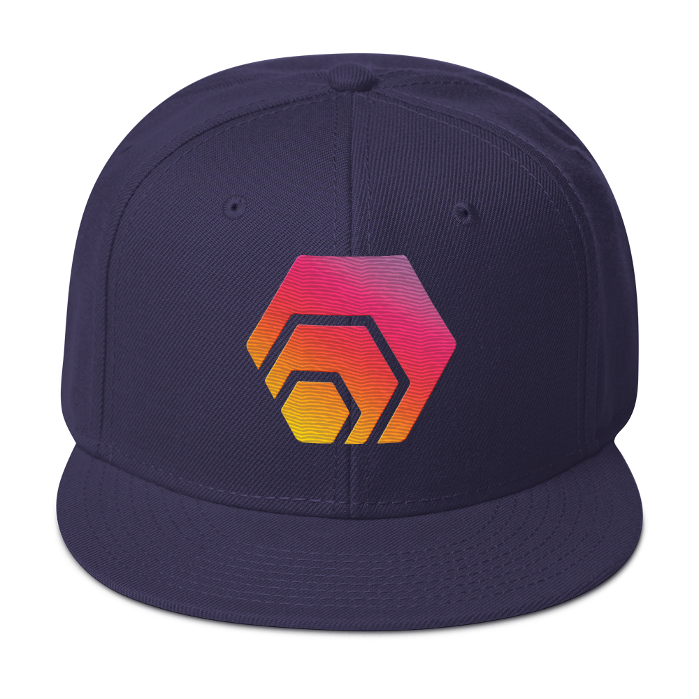 HEX Logo - Embroidered Snapback - The Pulsican Store